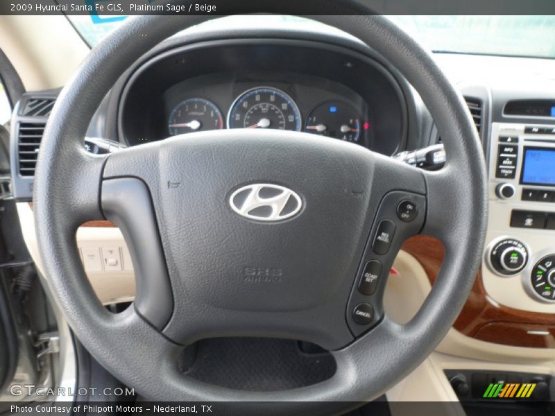 Platinum Sage / Beige 2009 Hyundai Santa Fe GLS