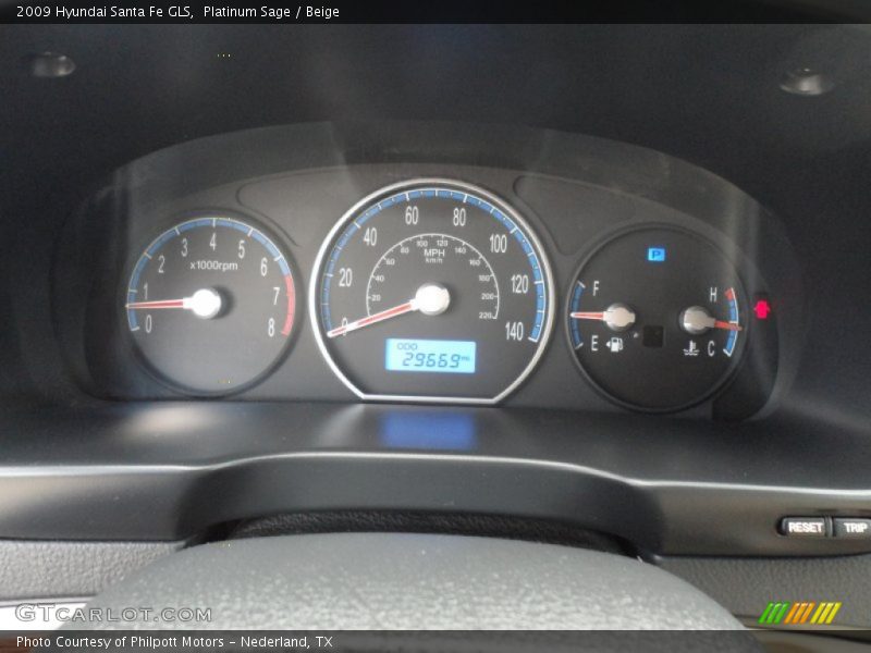 Platinum Sage / Beige 2009 Hyundai Santa Fe GLS