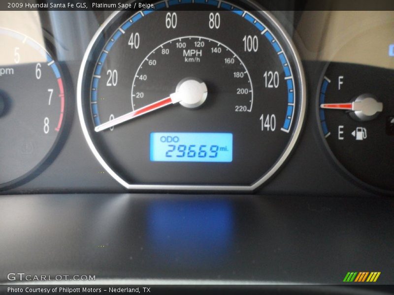 Platinum Sage / Beige 2009 Hyundai Santa Fe GLS