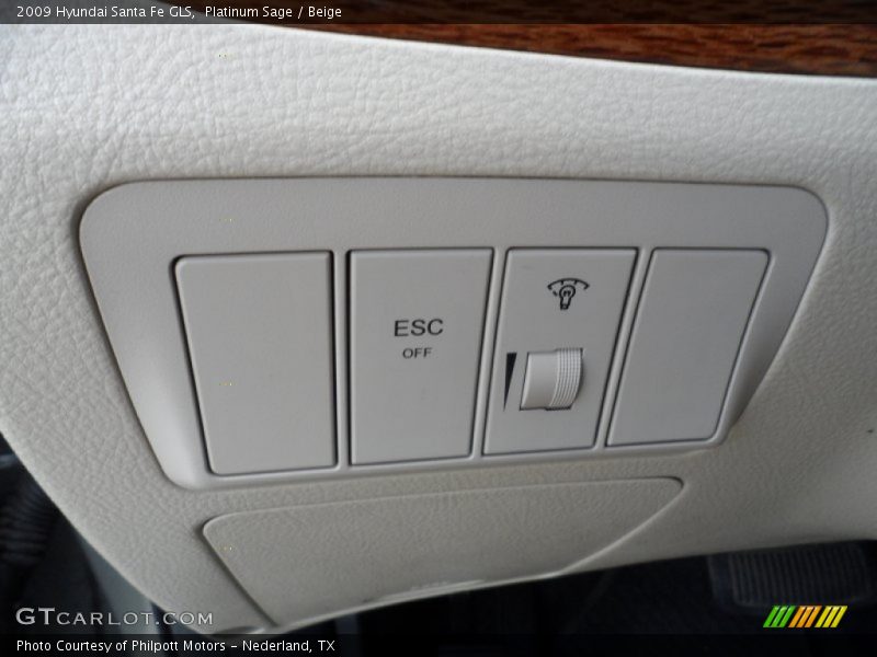 Platinum Sage / Beige 2009 Hyundai Santa Fe GLS