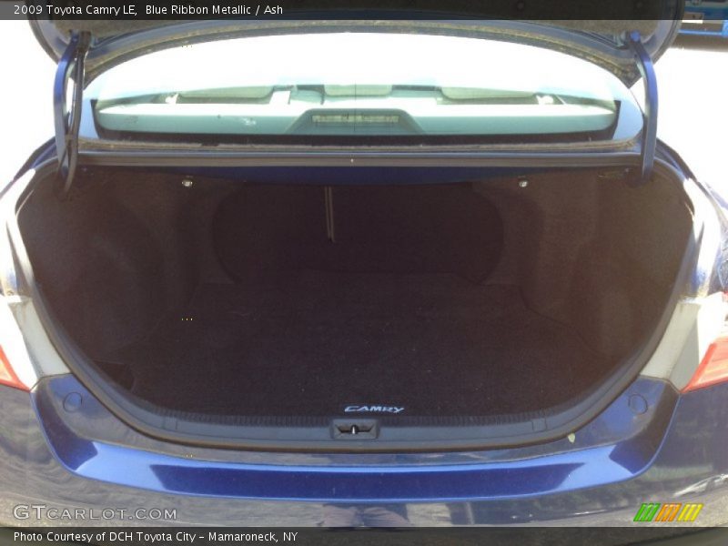 Blue Ribbon Metallic / Ash 2009 Toyota Camry LE