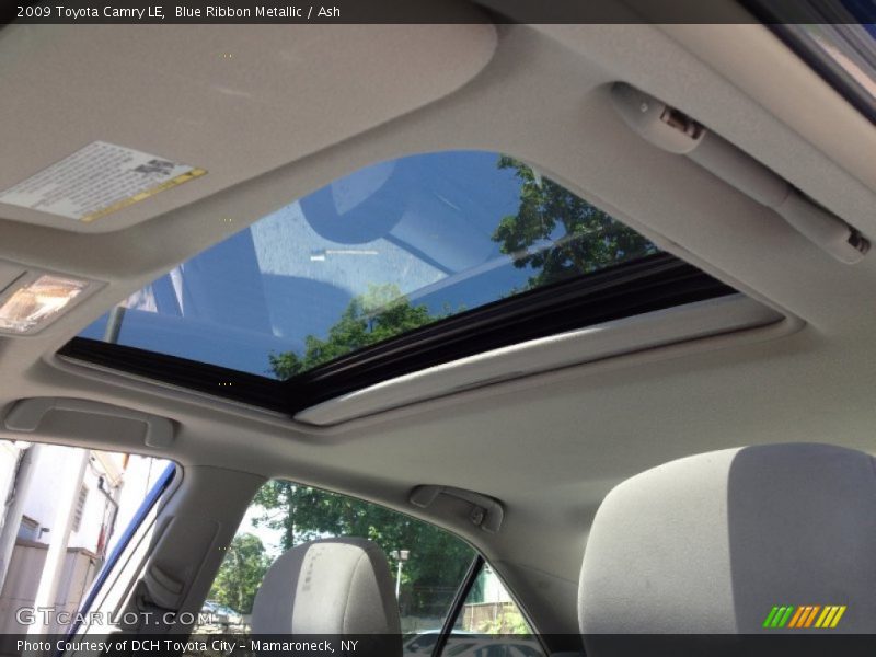 Blue Ribbon Metallic / Ash 2009 Toyota Camry LE