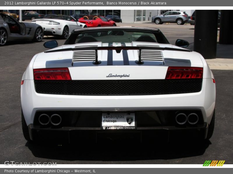 Bianco Monocerus / Black Alcantara 2012 Lamborghini Gallardo LP 570-4 Spyder Performante