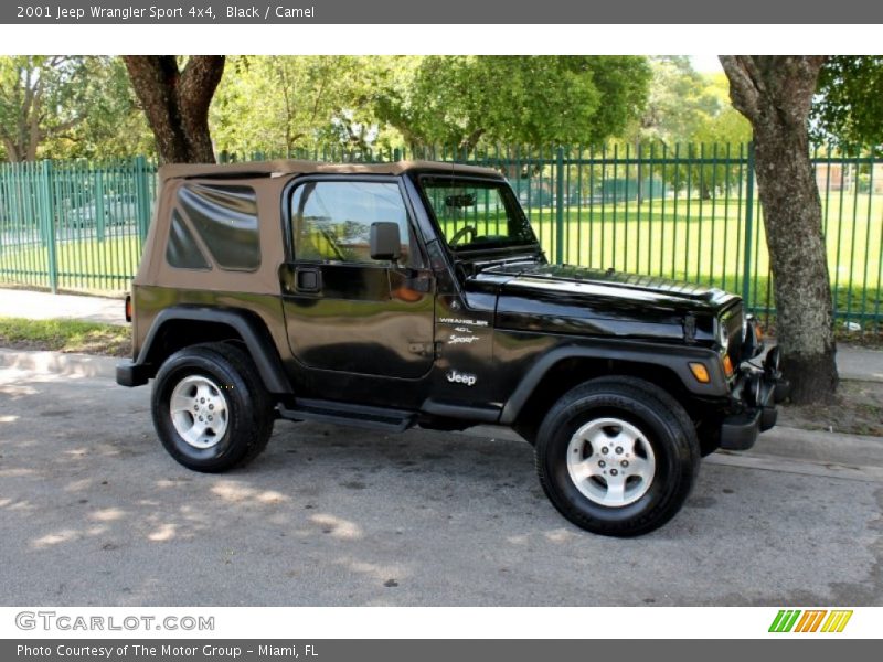 Black / Camel 2001 Jeep Wrangler Sport 4x4