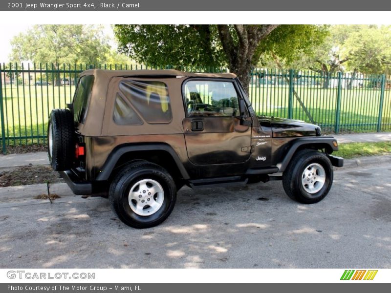 Black / Camel 2001 Jeep Wrangler Sport 4x4