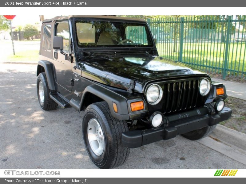 Black / Camel 2001 Jeep Wrangler Sport 4x4