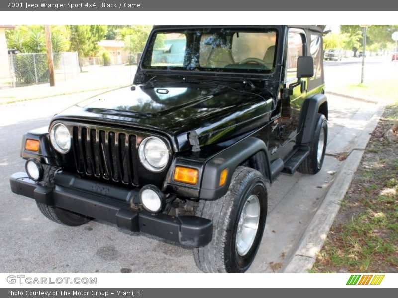 Black / Camel 2001 Jeep Wrangler Sport 4x4