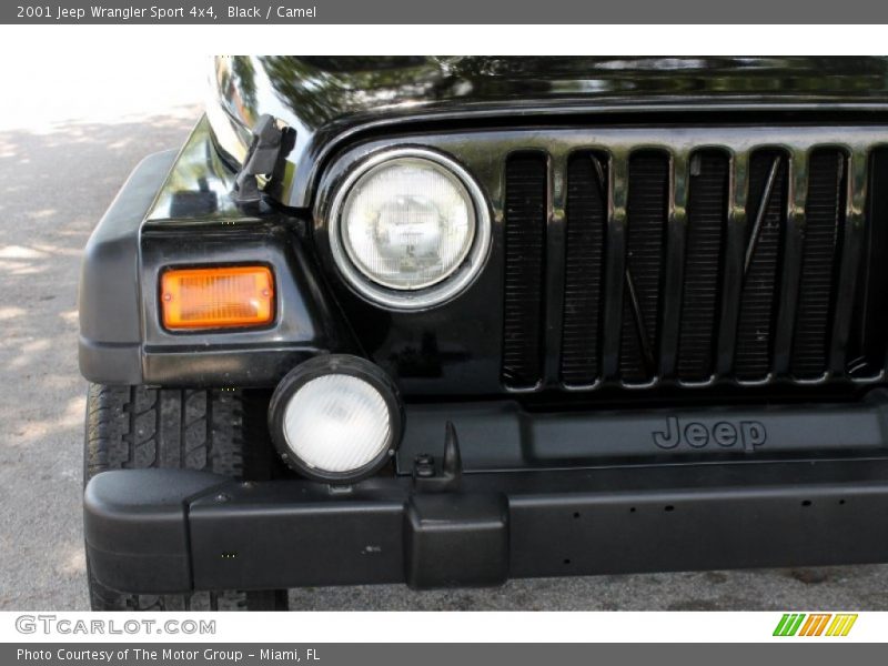 Black / Camel 2001 Jeep Wrangler Sport 4x4