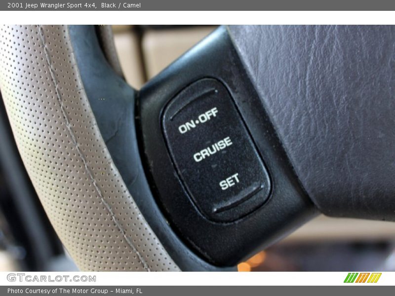 Black / Camel 2001 Jeep Wrangler Sport 4x4