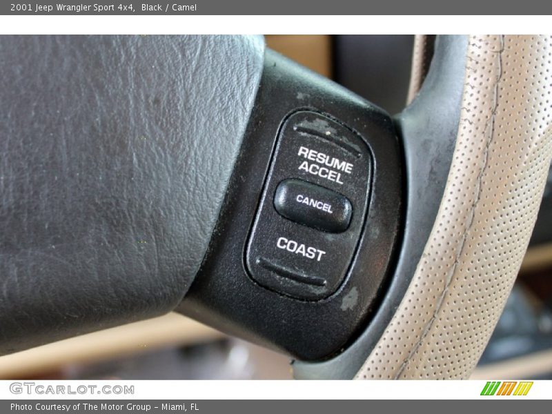 Black / Camel 2001 Jeep Wrangler Sport 4x4
