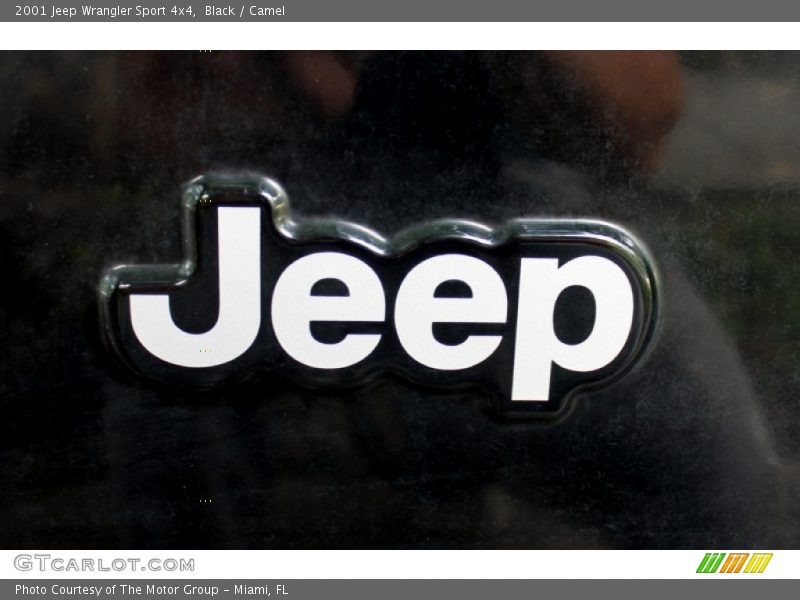 Black / Camel 2001 Jeep Wrangler Sport 4x4