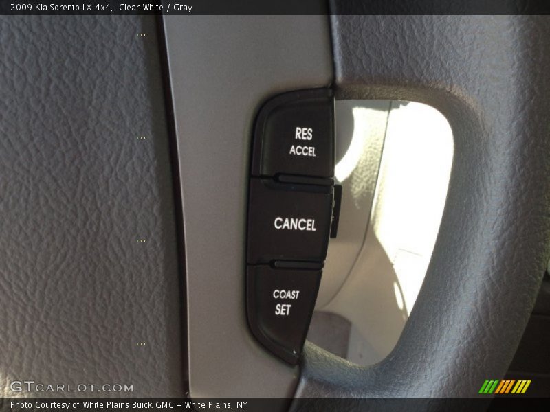 Clear White / Gray 2009 Kia Sorento LX 4x4