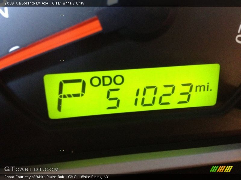 Clear White / Gray 2009 Kia Sorento LX 4x4