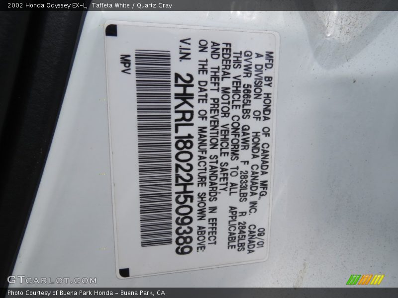 Taffeta White / Quartz Gray 2002 Honda Odyssey EX-L