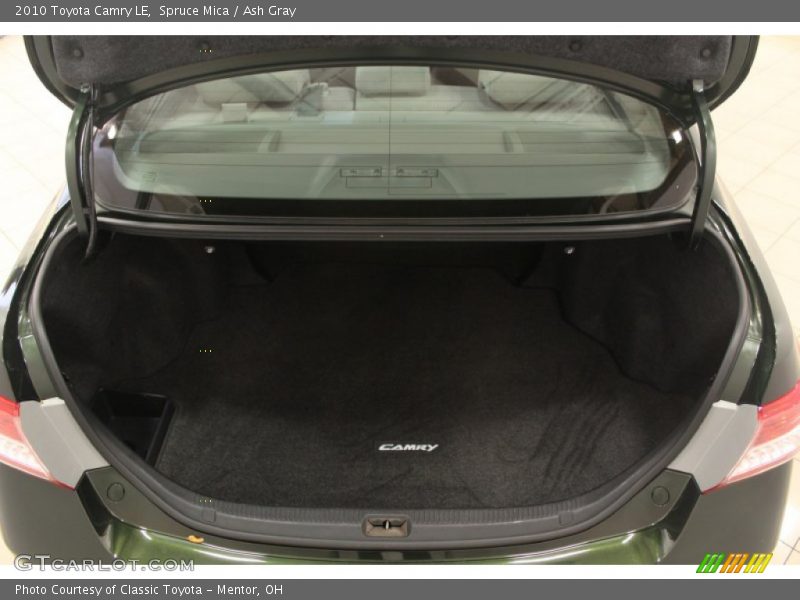 Spruce Mica / Ash Gray 2010 Toyota Camry LE