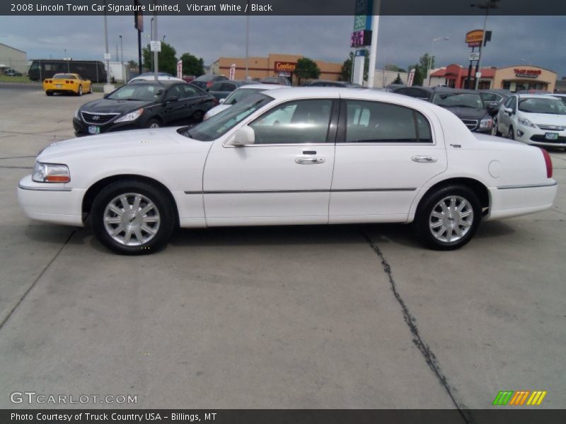 Vibrant White / Black 2008 Lincoln Town Car Signature Limited