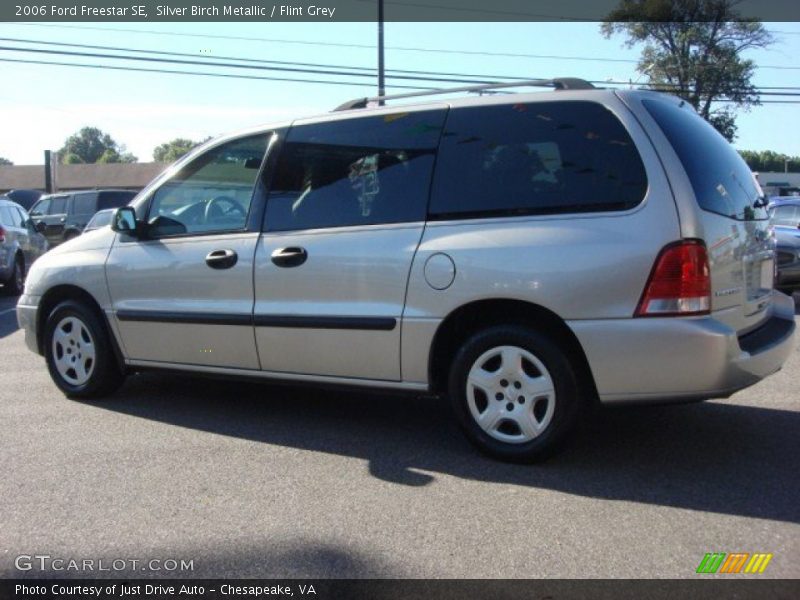 Silver Birch Metallic / Flint Grey 2006 Ford Freestar SE