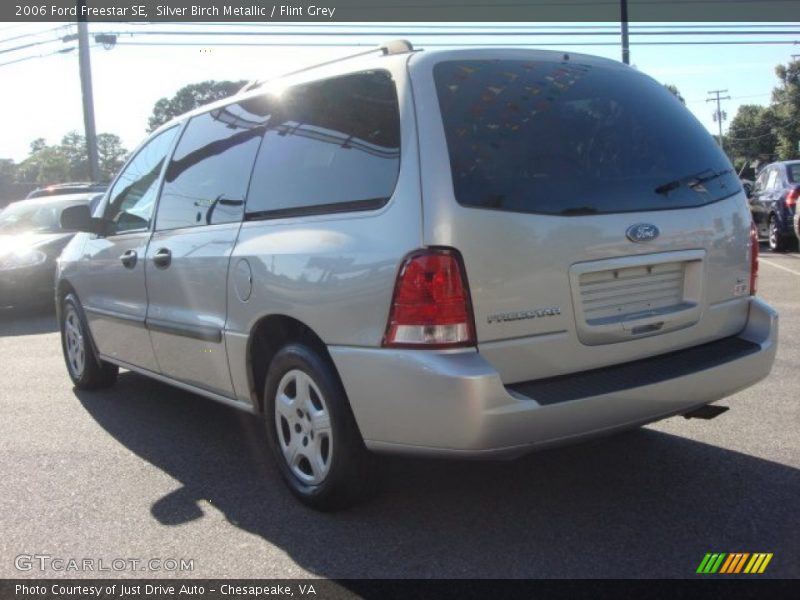Silver Birch Metallic / Flint Grey 2006 Ford Freestar SE