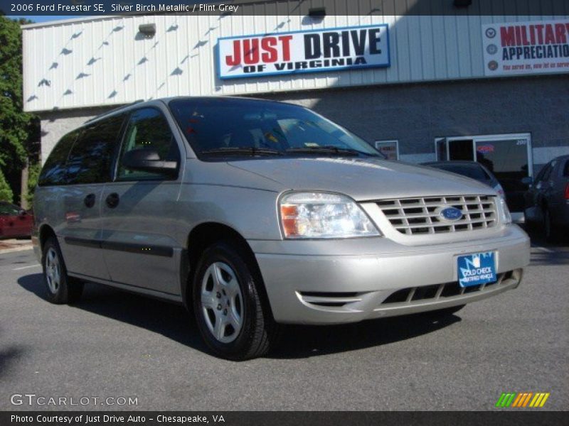 Silver Birch Metallic / Flint Grey 2006 Ford Freestar SE