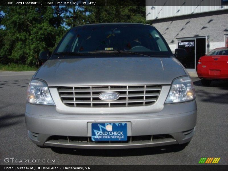 Silver Birch Metallic / Flint Grey 2006 Ford Freestar SE