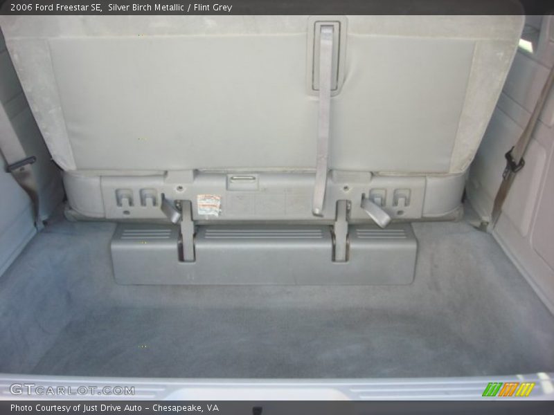 Silver Birch Metallic / Flint Grey 2006 Ford Freestar SE
