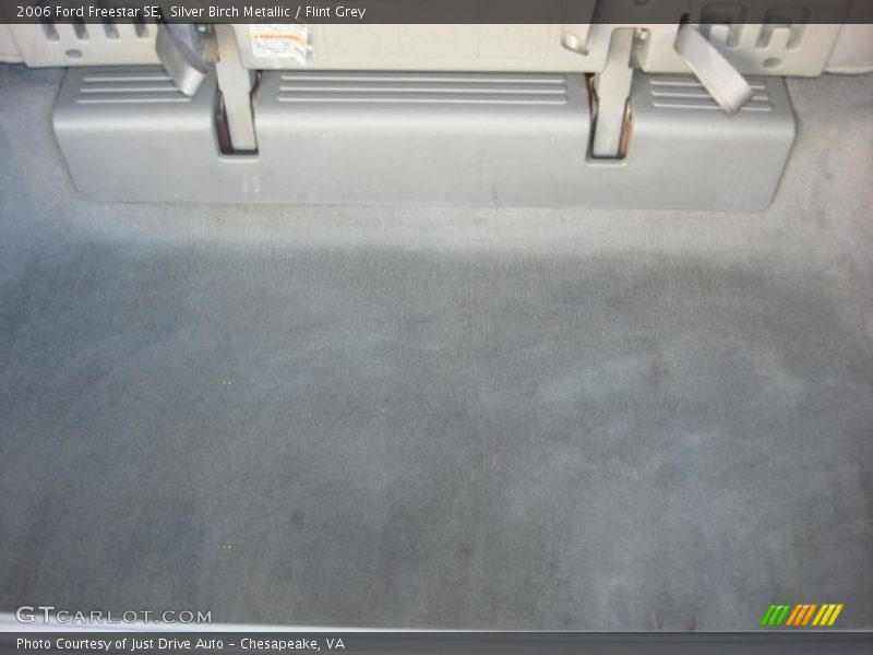 Silver Birch Metallic / Flint Grey 2006 Ford Freestar SE