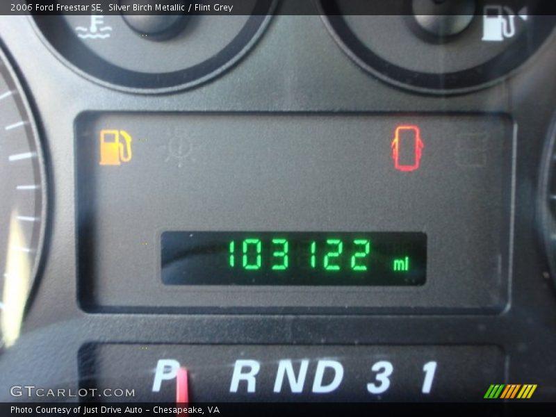 Silver Birch Metallic / Flint Grey 2006 Ford Freestar SE