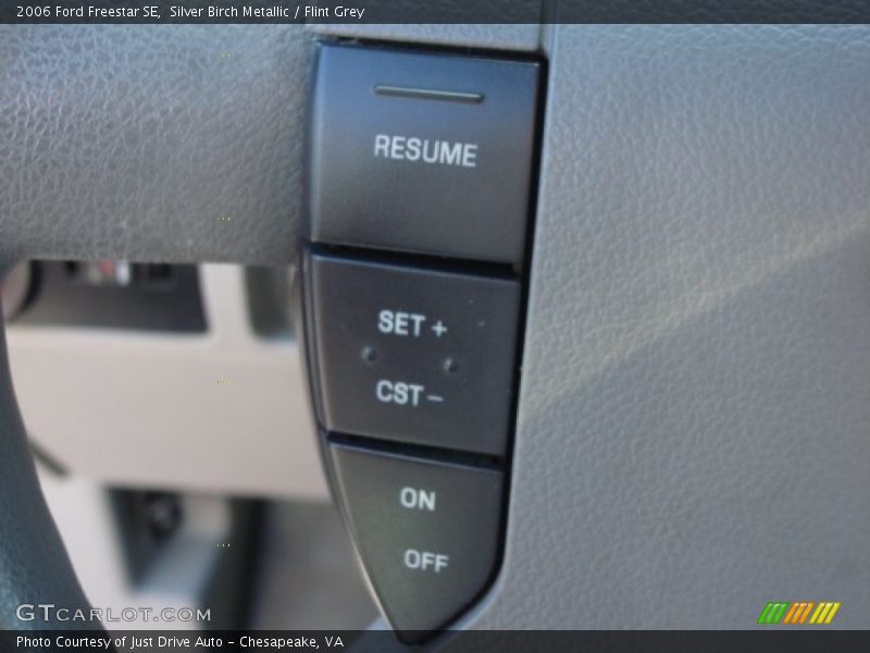 Silver Birch Metallic / Flint Grey 2006 Ford Freestar SE