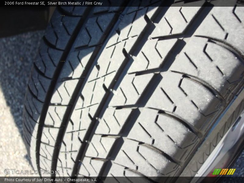 Silver Birch Metallic / Flint Grey 2006 Ford Freestar SE