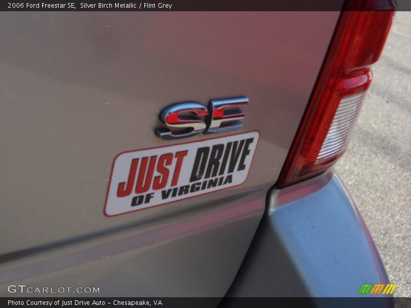 Silver Birch Metallic / Flint Grey 2006 Ford Freestar SE
