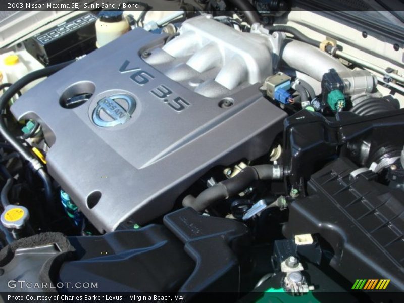 Sunlit Sand / Blond 2003 Nissan Maxima SE