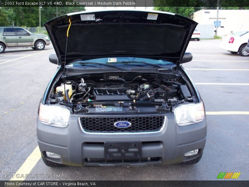 Black Clearcoat / Medium Dark Pebble 2003 Ford Escape XLT V6 4WD