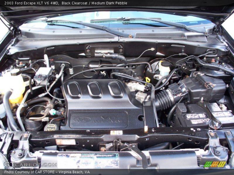 Black Clearcoat / Medium Dark Pebble 2003 Ford Escape XLT V6 4WD