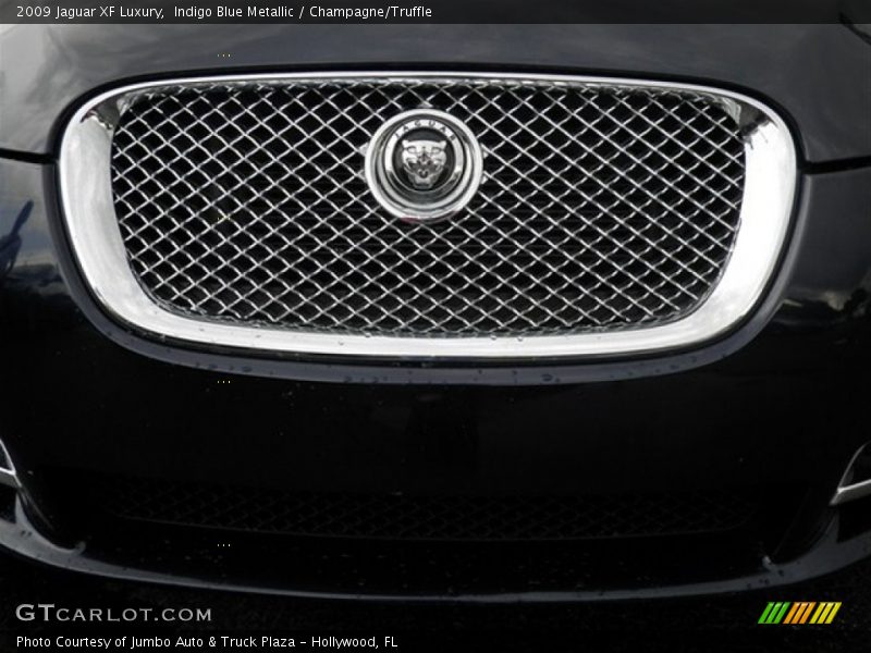 Front Grill - 2009 Jaguar XF Luxury