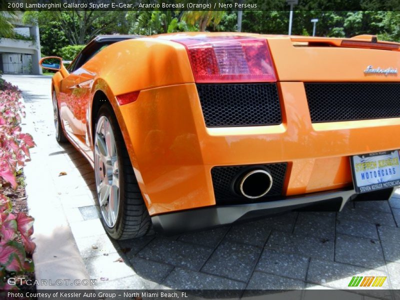 Arancio Borealis (Orange) / Nero Perseus 2008 Lamborghini Gallardo Spyder E-Gear