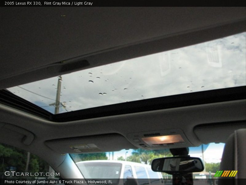 Flint Gray Mica / Light Gray 2005 Lexus RX 330