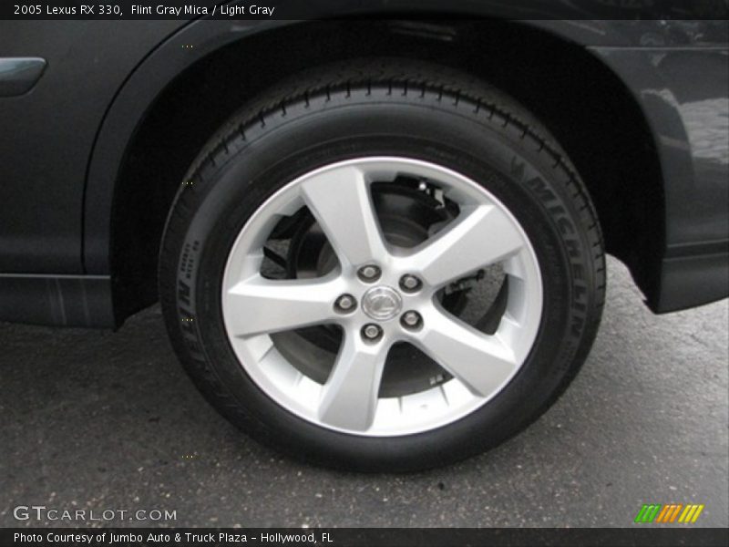 Flint Gray Mica / Light Gray 2005 Lexus RX 330