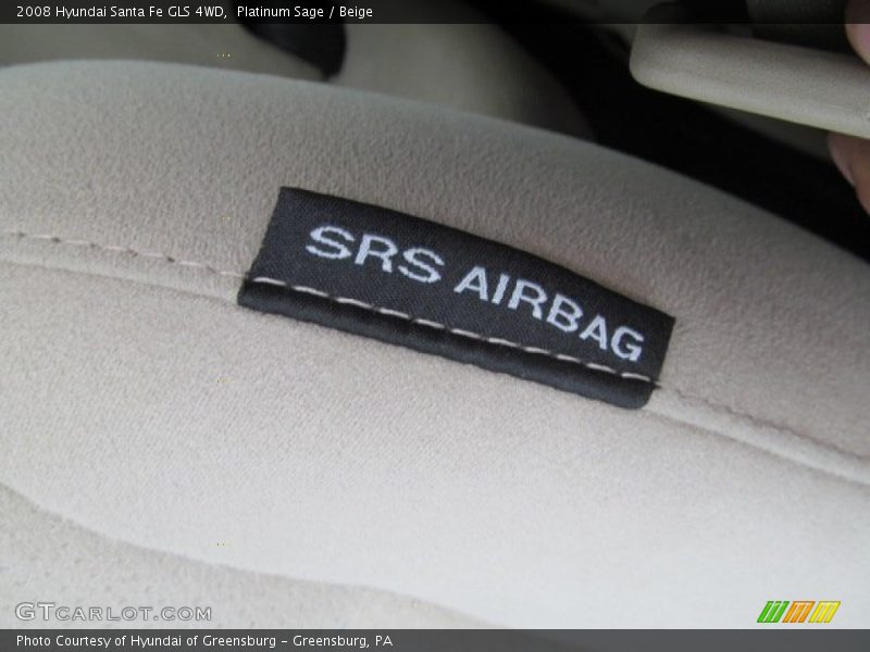 Platinum Sage / Beige 2008 Hyundai Santa Fe GLS 4WD