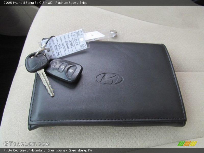Platinum Sage / Beige 2008 Hyundai Santa Fe GLS 4WD