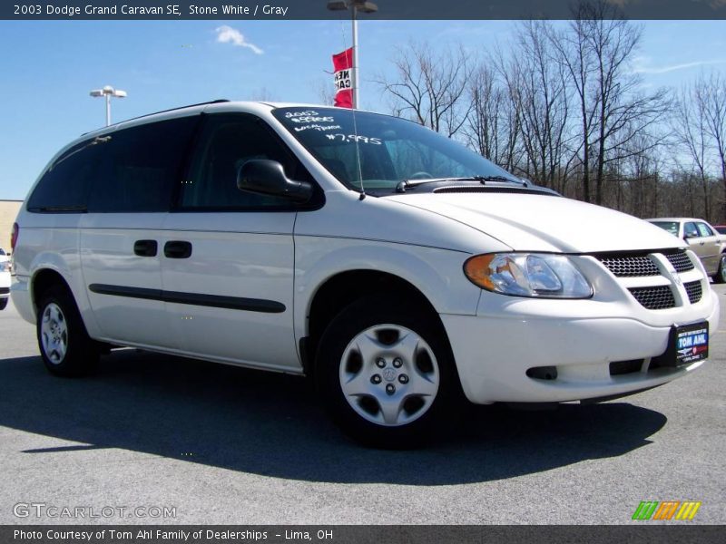 Stone White / Gray 2003 Dodge Grand Caravan SE