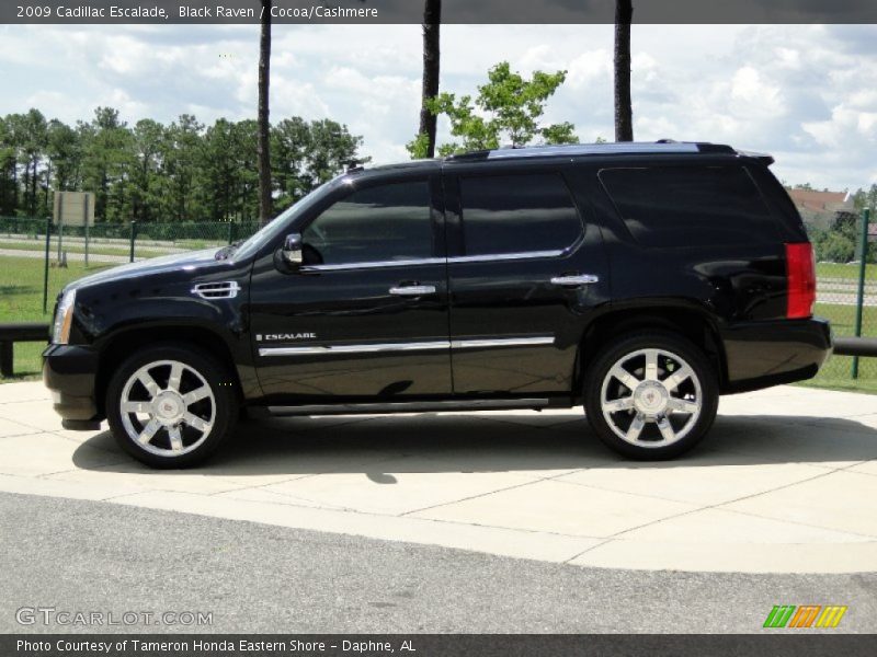 Black Raven / Cocoa/Cashmere 2009 Cadillac Escalade
