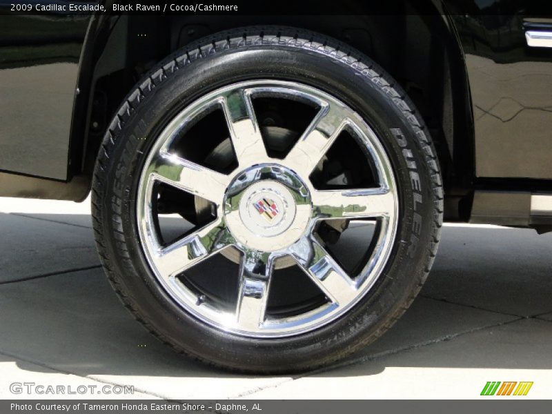 Black Raven / Cocoa/Cashmere 2009 Cadillac Escalade