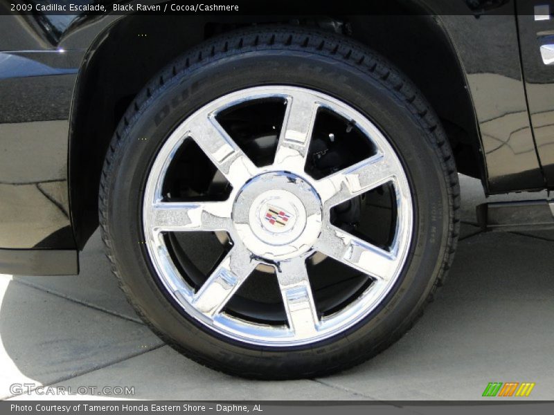 Black Raven / Cocoa/Cashmere 2009 Cadillac Escalade