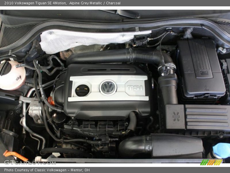 Alpine Grey Metallic / Charcoal 2010 Volkswagen Tiguan SE 4Motion