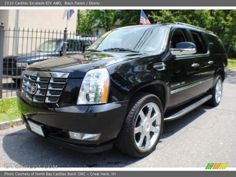 Black Raven / Ebony 2010 Cadillac Escalade ESV AWD