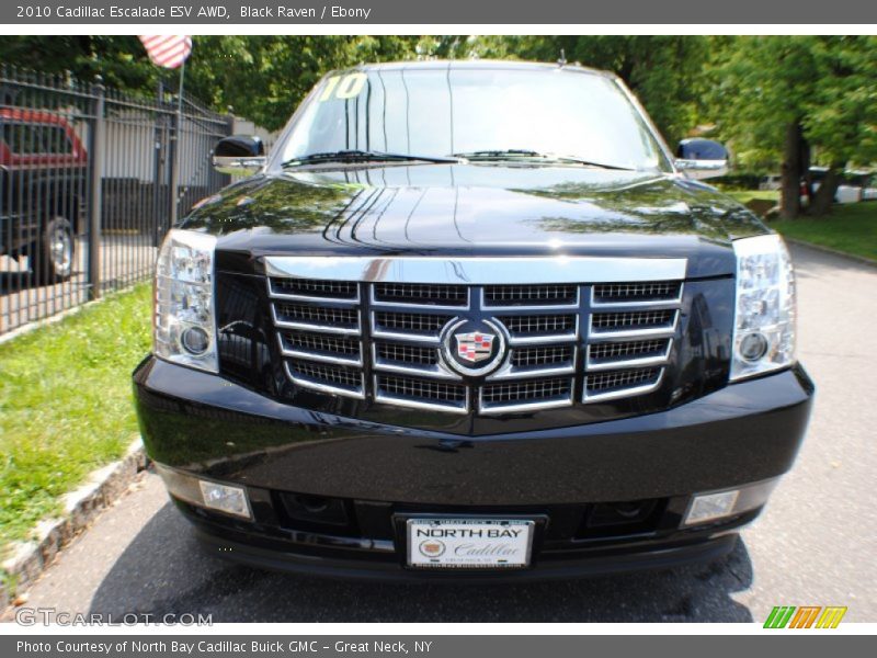 Black Raven / Ebony 2010 Cadillac Escalade ESV AWD