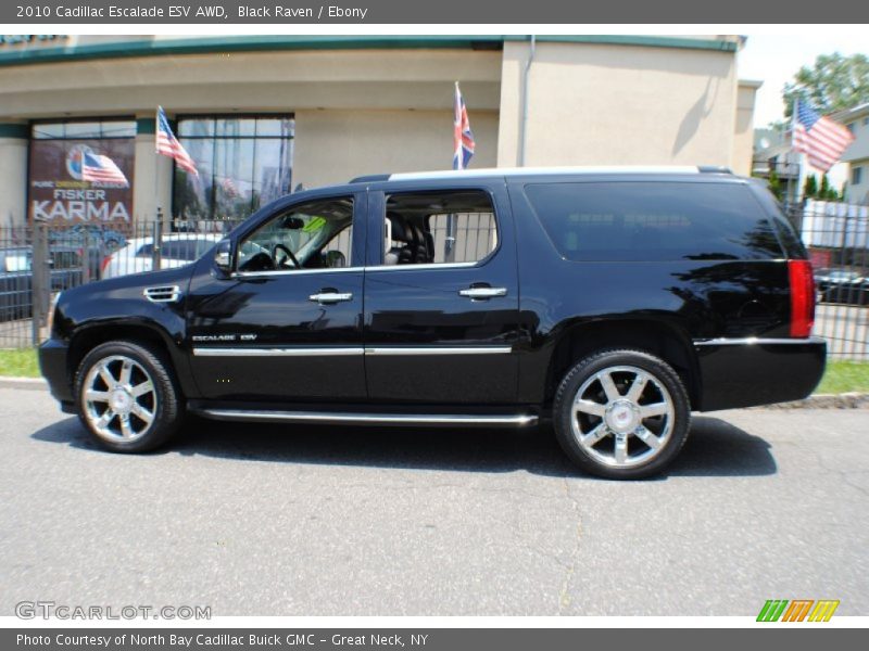 Black Raven / Ebony 2010 Cadillac Escalade ESV AWD