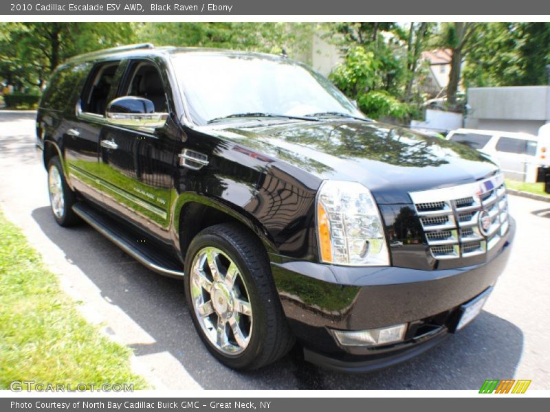 Black Raven / Ebony 2010 Cadillac Escalade ESV AWD