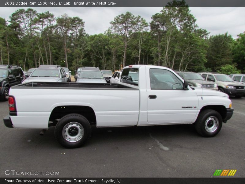 Bright White / Mist Gray 2001 Dodge Ram 1500 Regular Cab
