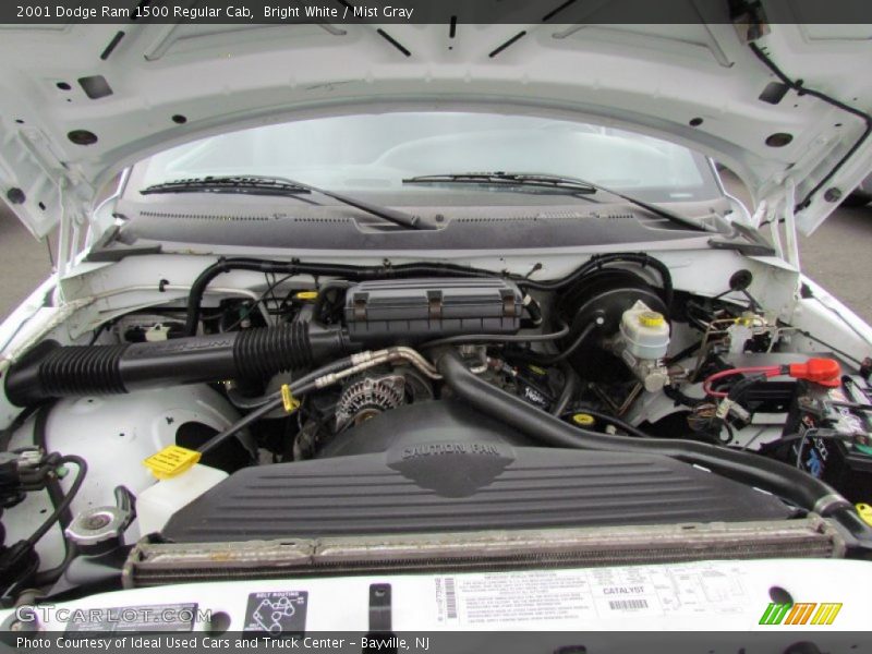 Bright White / Mist Gray 2001 Dodge Ram 1500 Regular Cab
